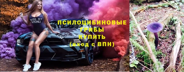 дурь Аркадак