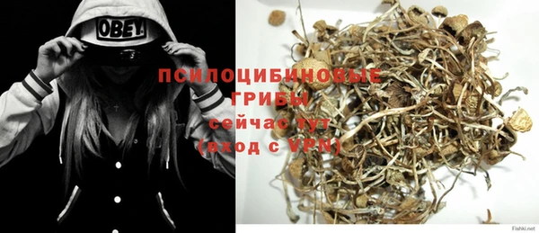 дурь Аркадак