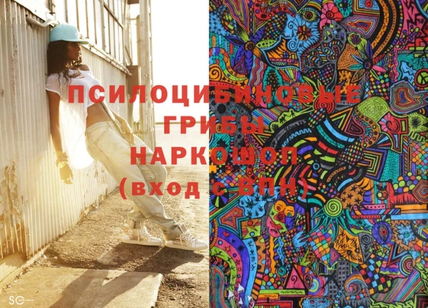 спиды Арсеньев