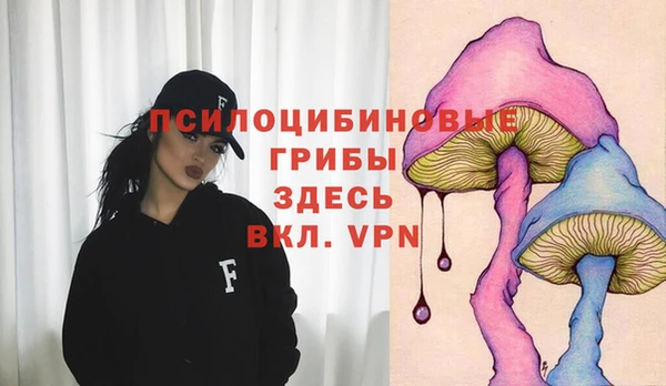 спиды Арсеньев