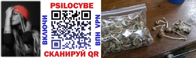 OMG сайт  Петушки  Галлюциногенные грибы Cubensis 